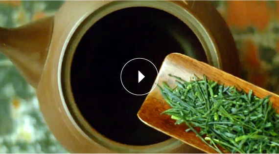 枕JAZZ（MAKURAJAZZ）〜農産篇（枕崎茶・電照菊）〜鹿児島県枕崎市特産品PR動画